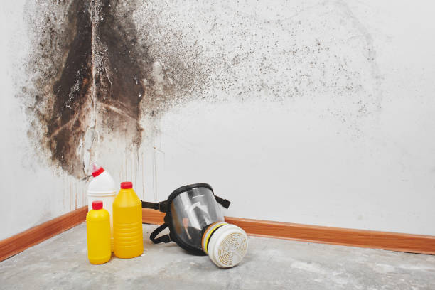  Choctaw, OK Mold Removal Pros