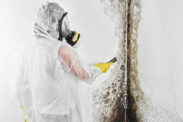 Best Post-Remediation Services in Choctaw, OK