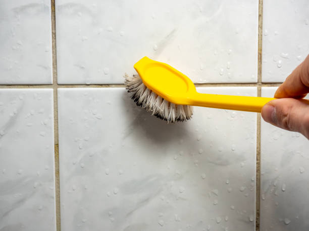 Best Mold Remediation for Specific Building Types in Choctaw, OK
