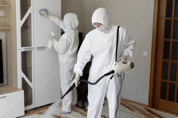 Best Basement Mold Remediation in Choctaw, OK