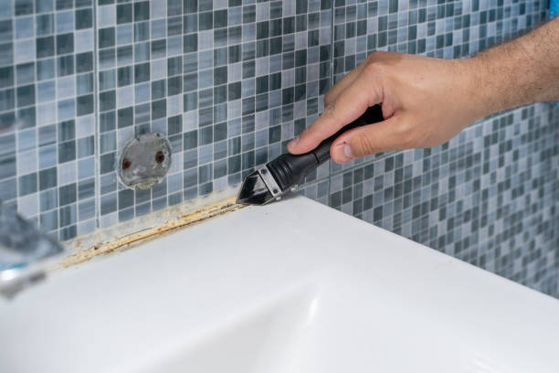 Best Black Mold Remediation in Choctaw, OK