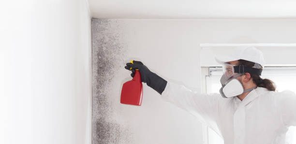 Best Post-Flood Mold Remediation in Choctaw, OK
